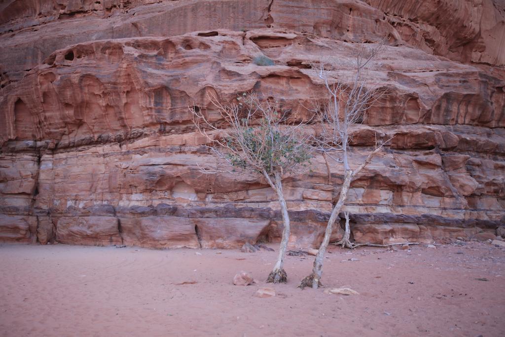 Bedouin Expedition Вади-Рам Экстерьер фото