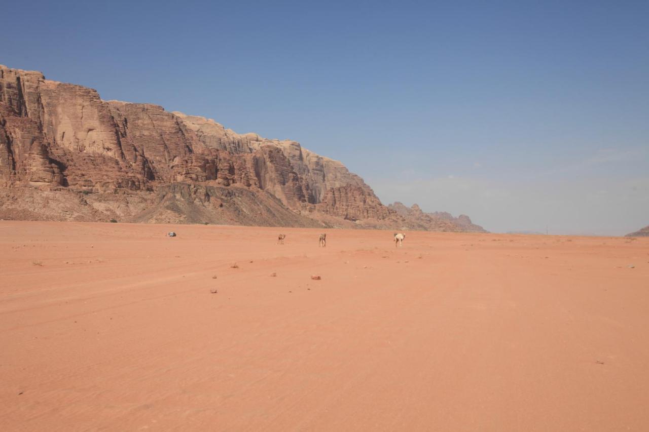 Bedouin Expedition Вади-Рам Экстерьер фото
